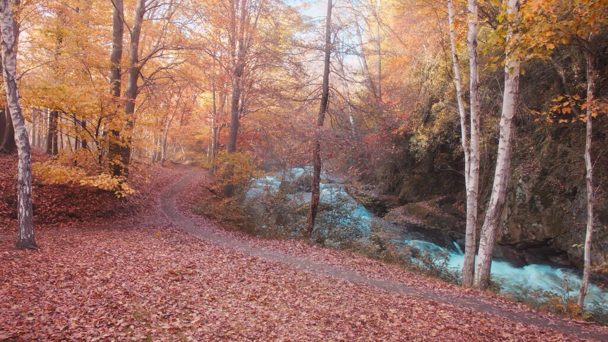 Sleepy Trail