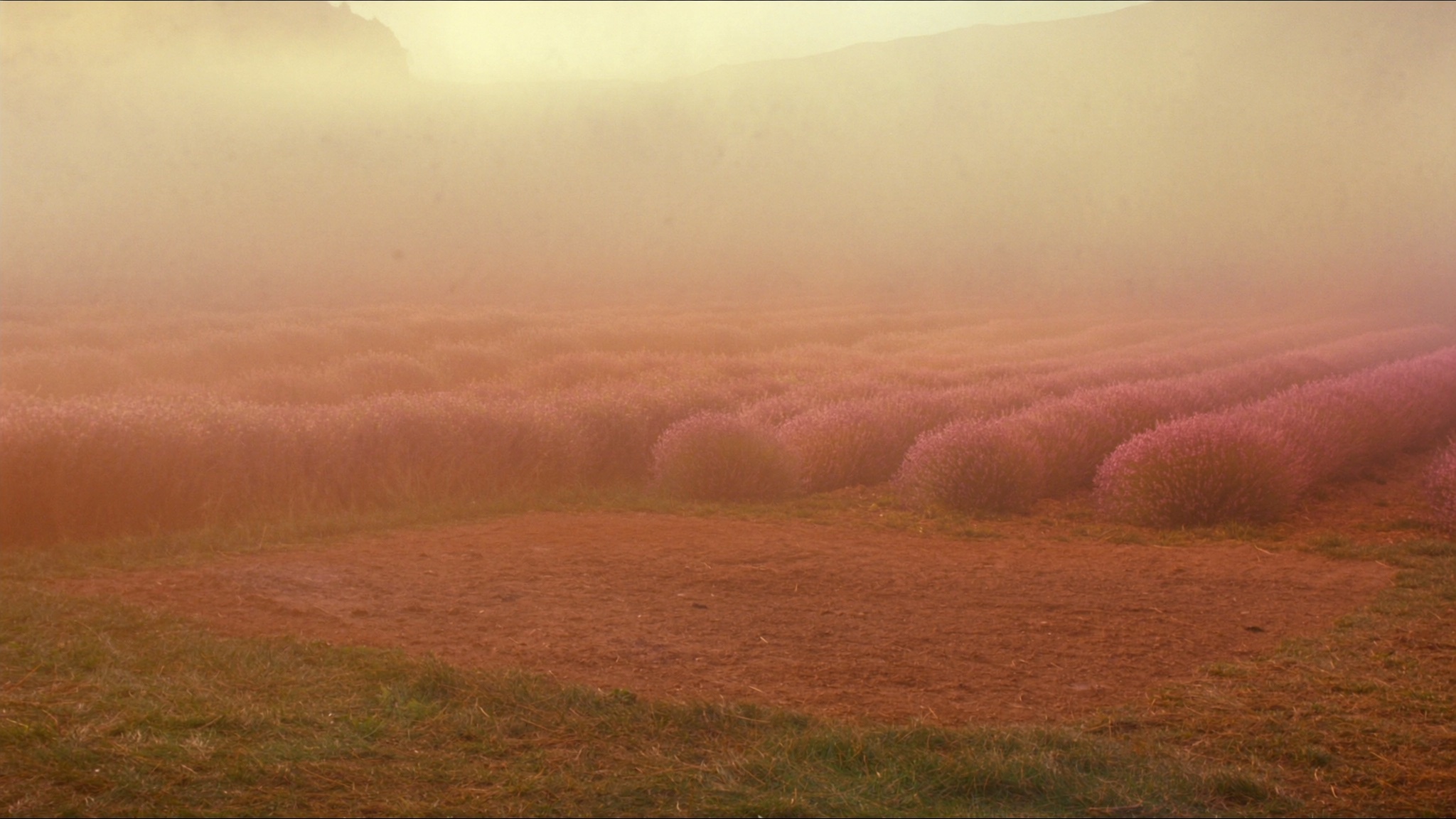 Marble Meadow