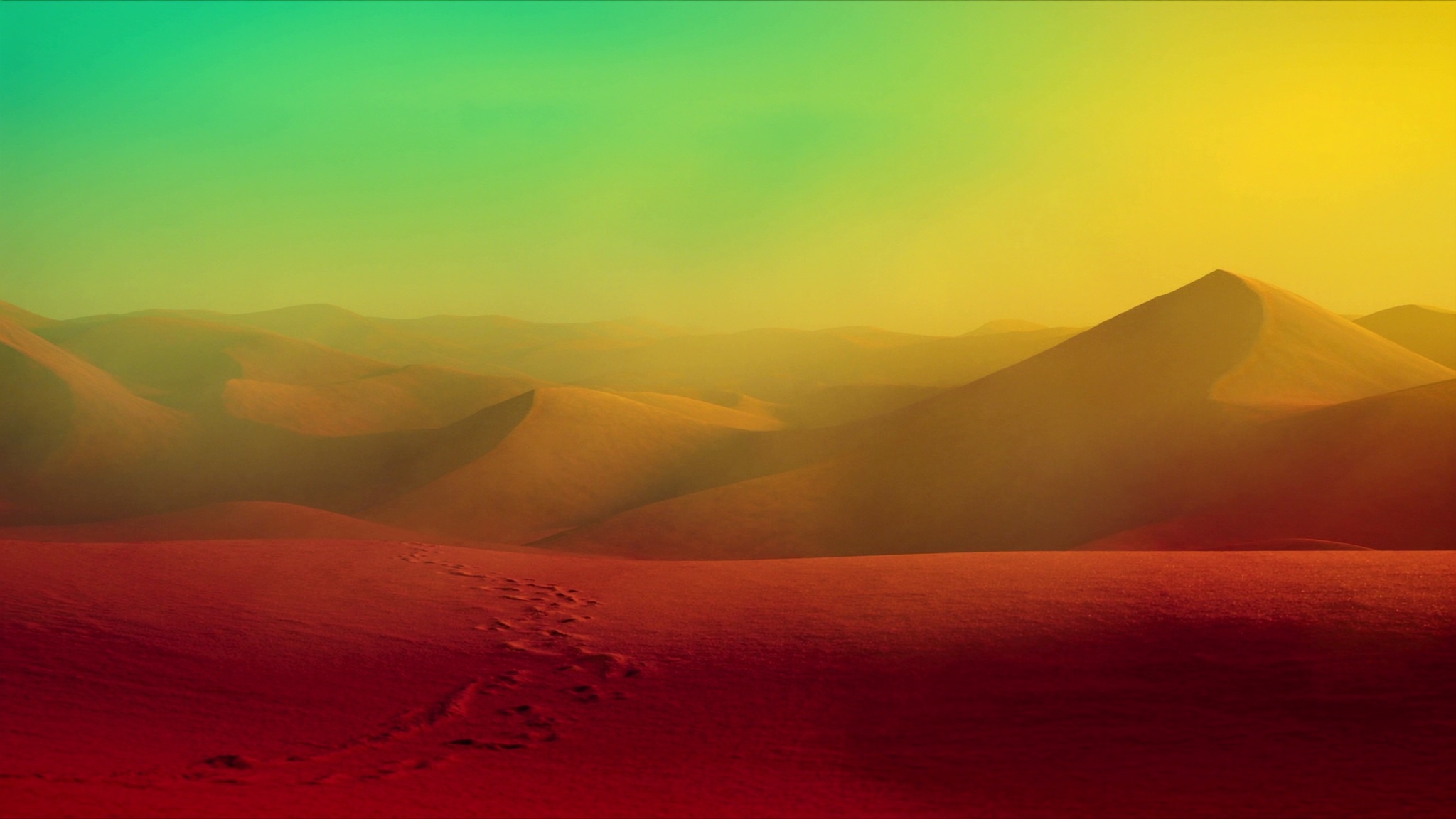 Windswept Dunes
