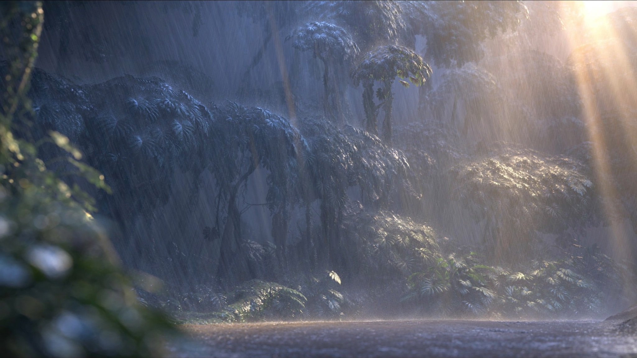 Sleepy Canopy