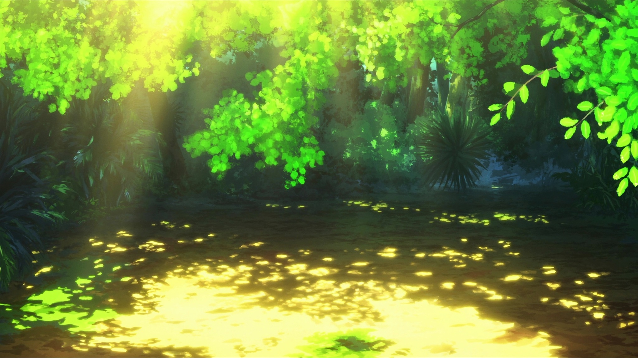Wild Canopy