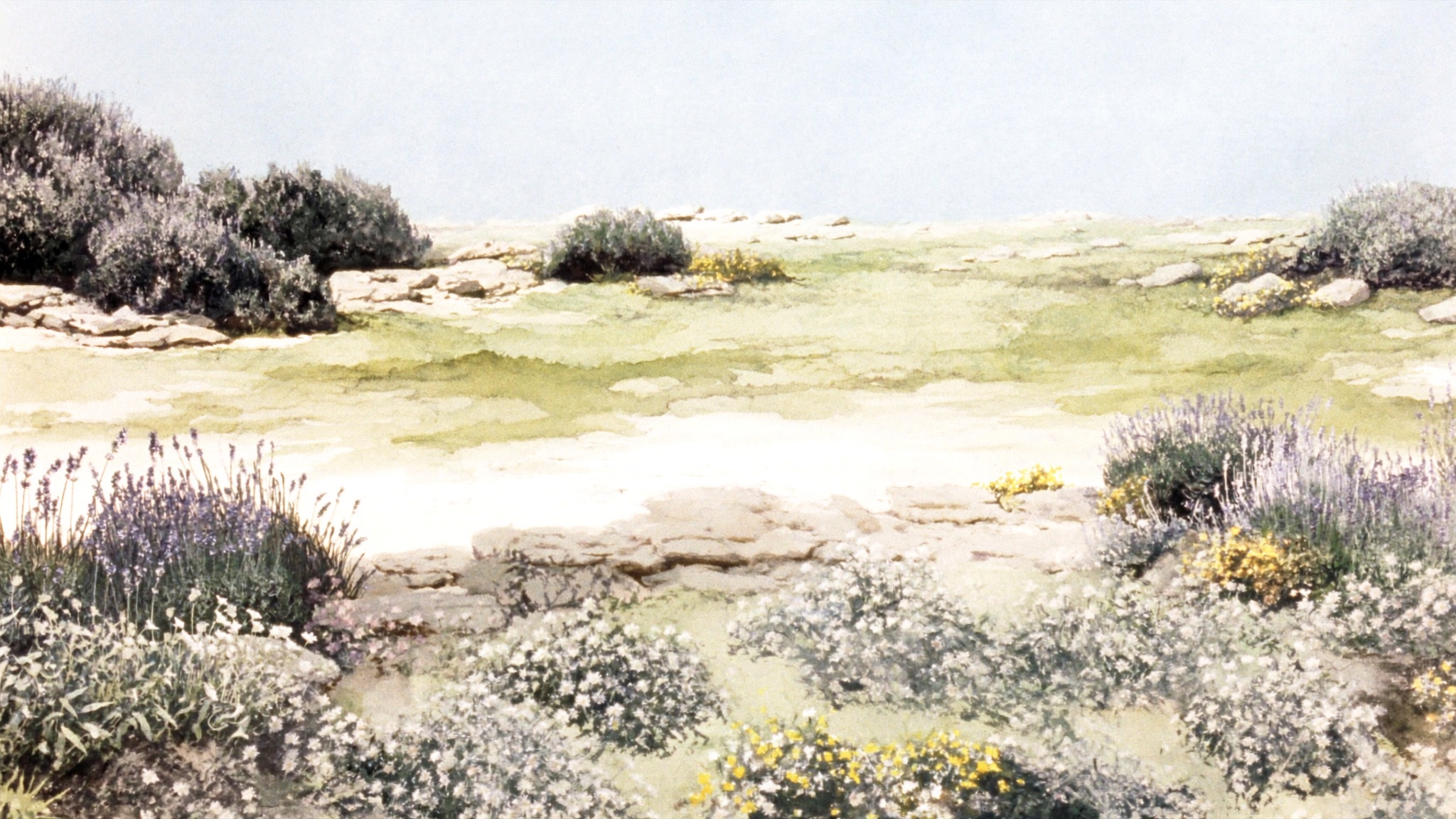 Emerald Meadow