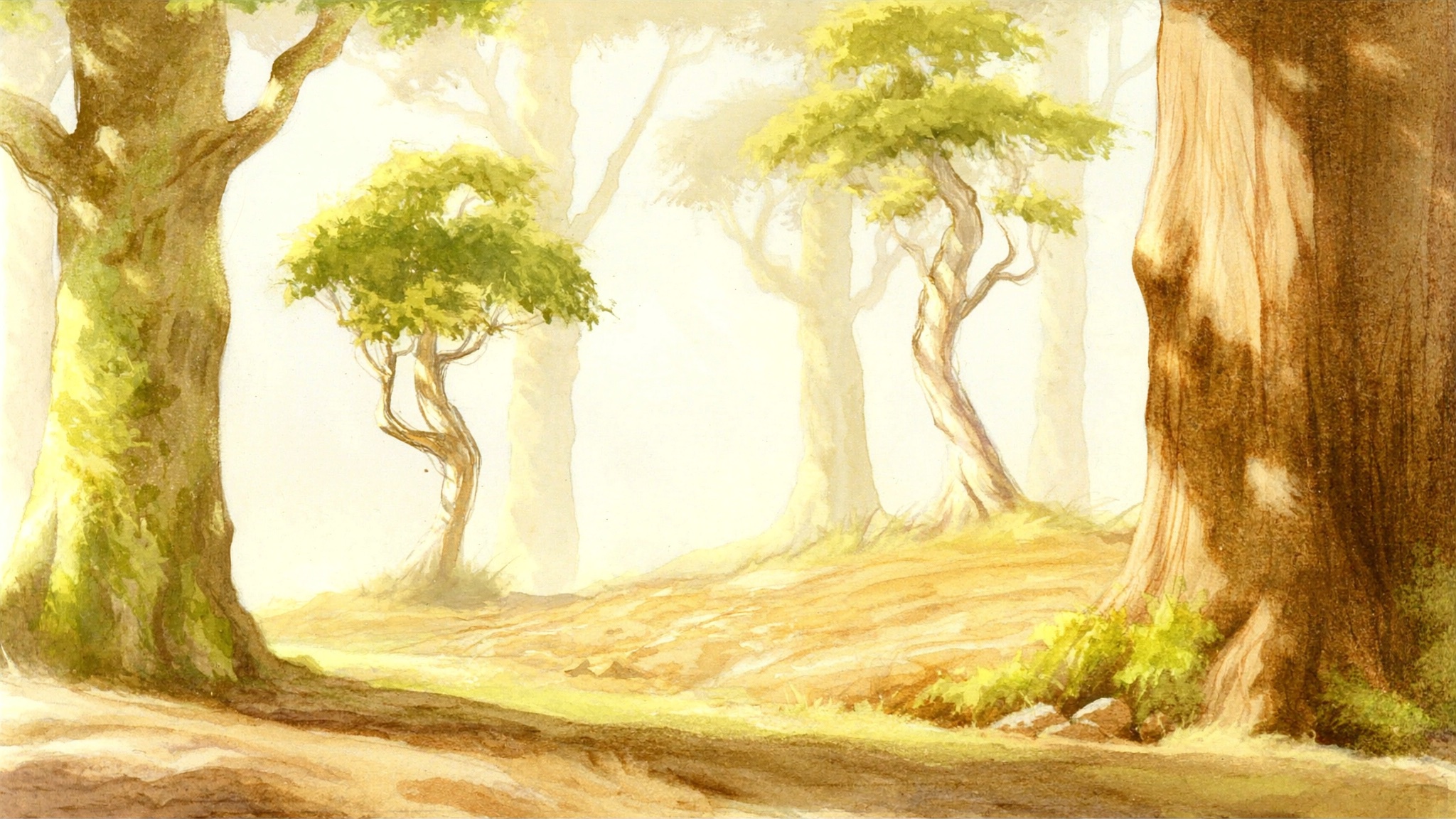 Quiet Woods