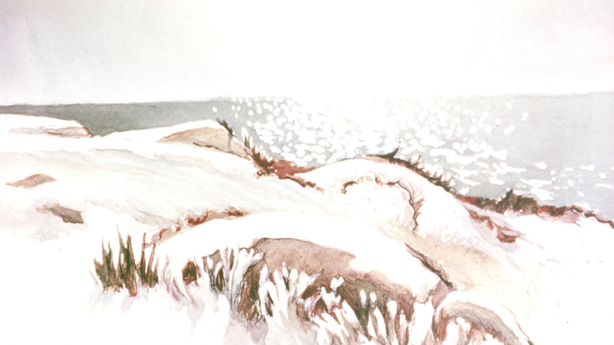 Silent Coast