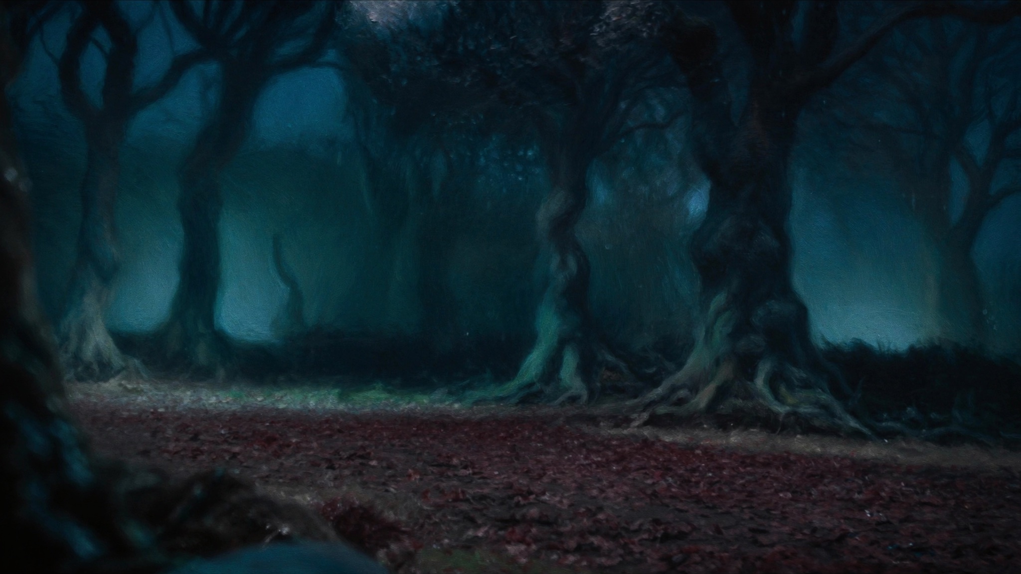 Secret Woods