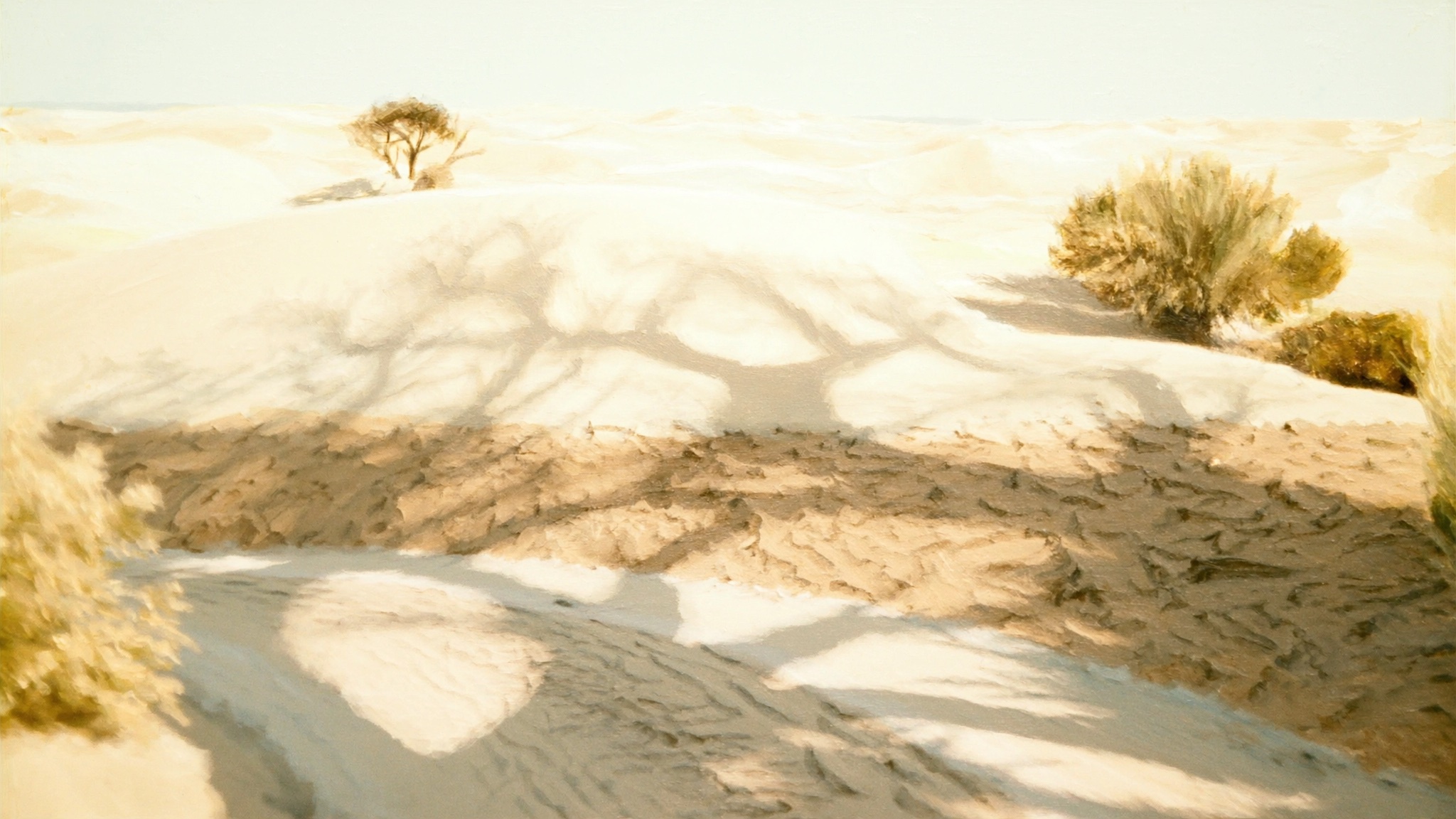 Shaded Dunes