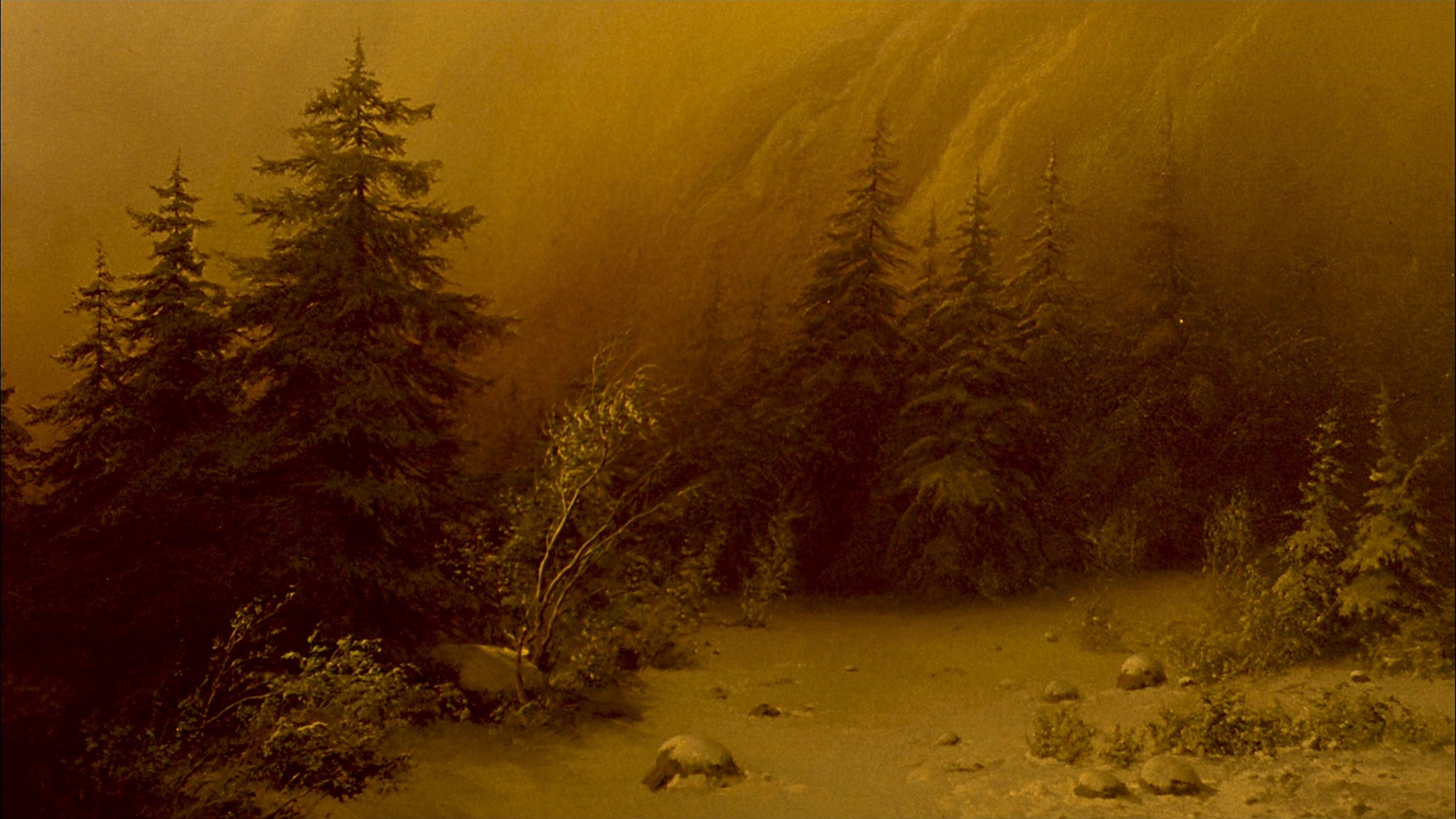 Weary Slope