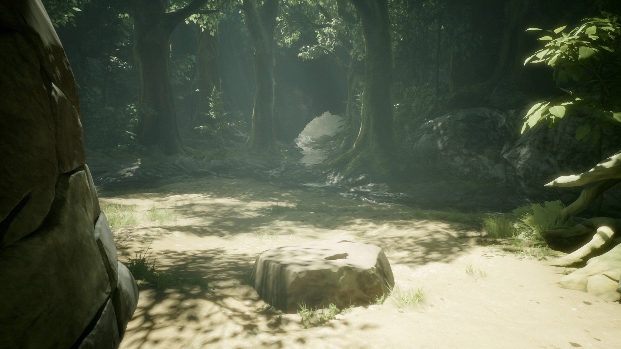 Storied Woods