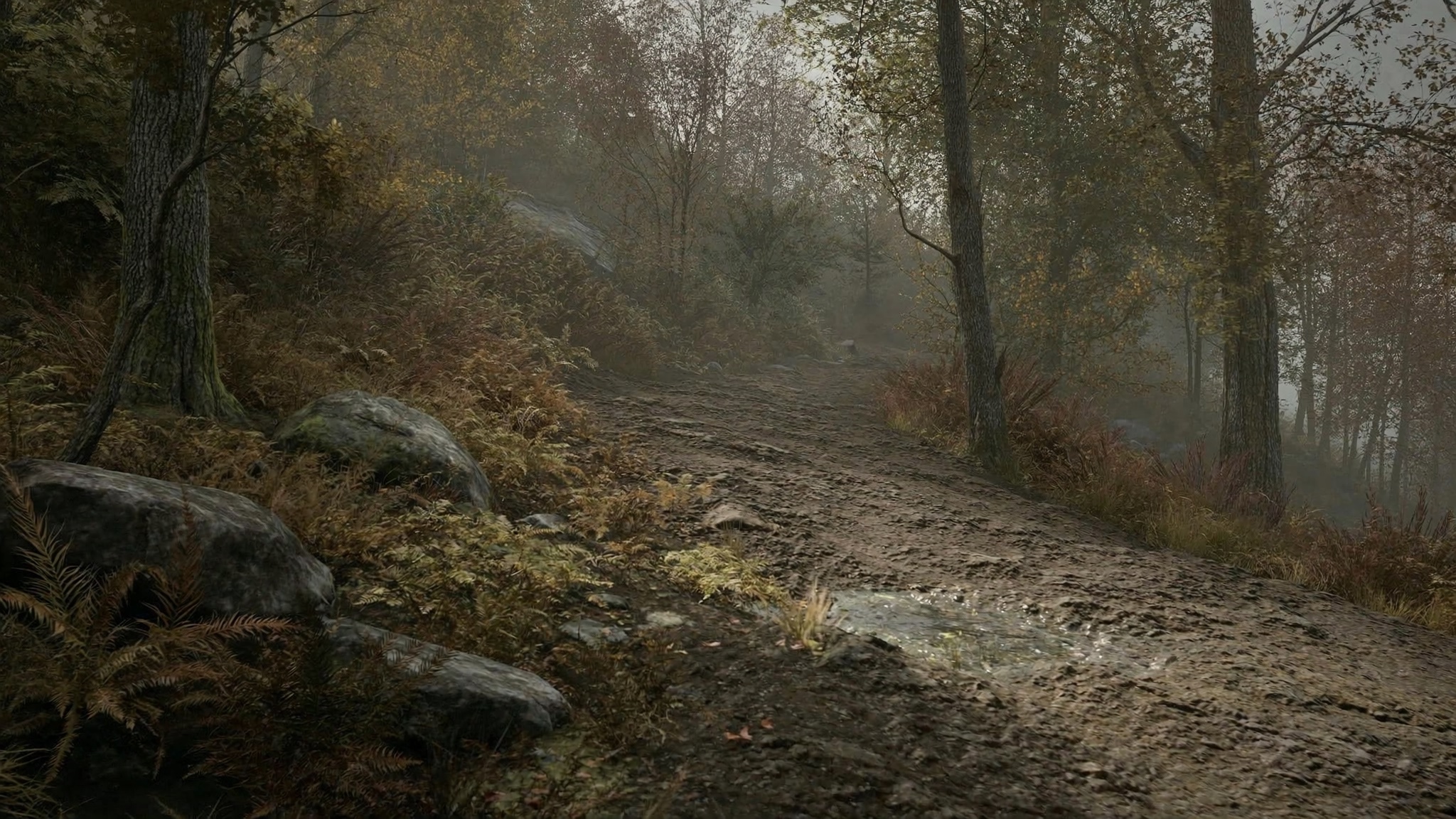 Hushed Trail