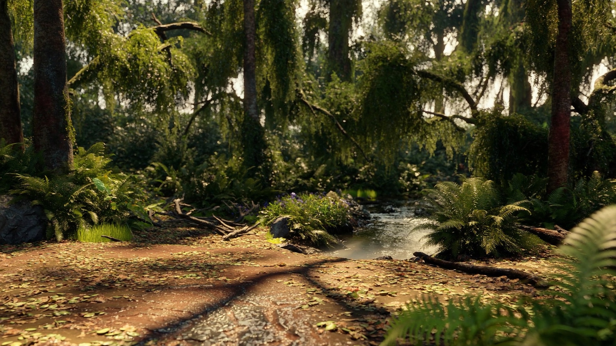 Distant Canopy