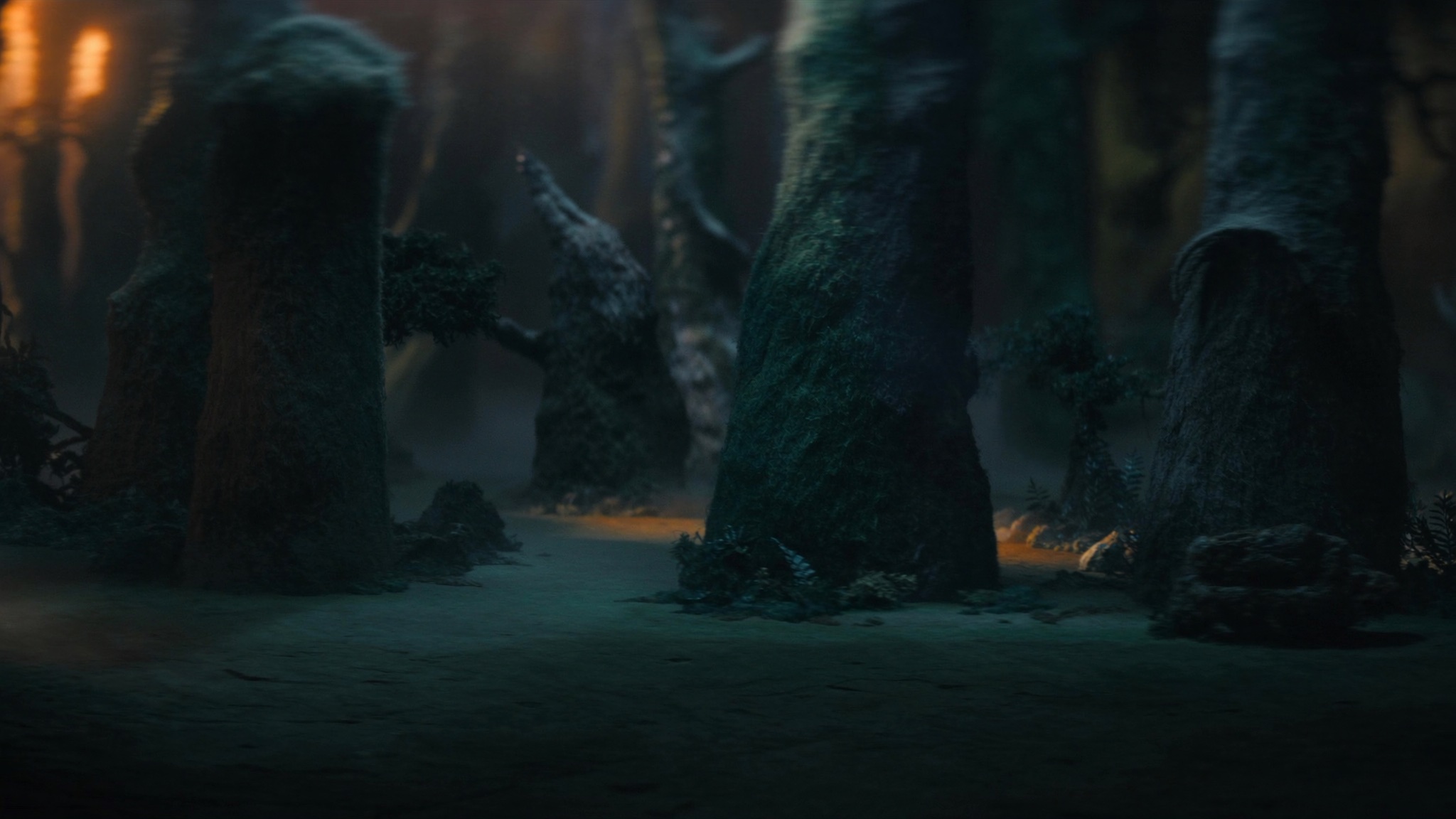 Sleepy Woods