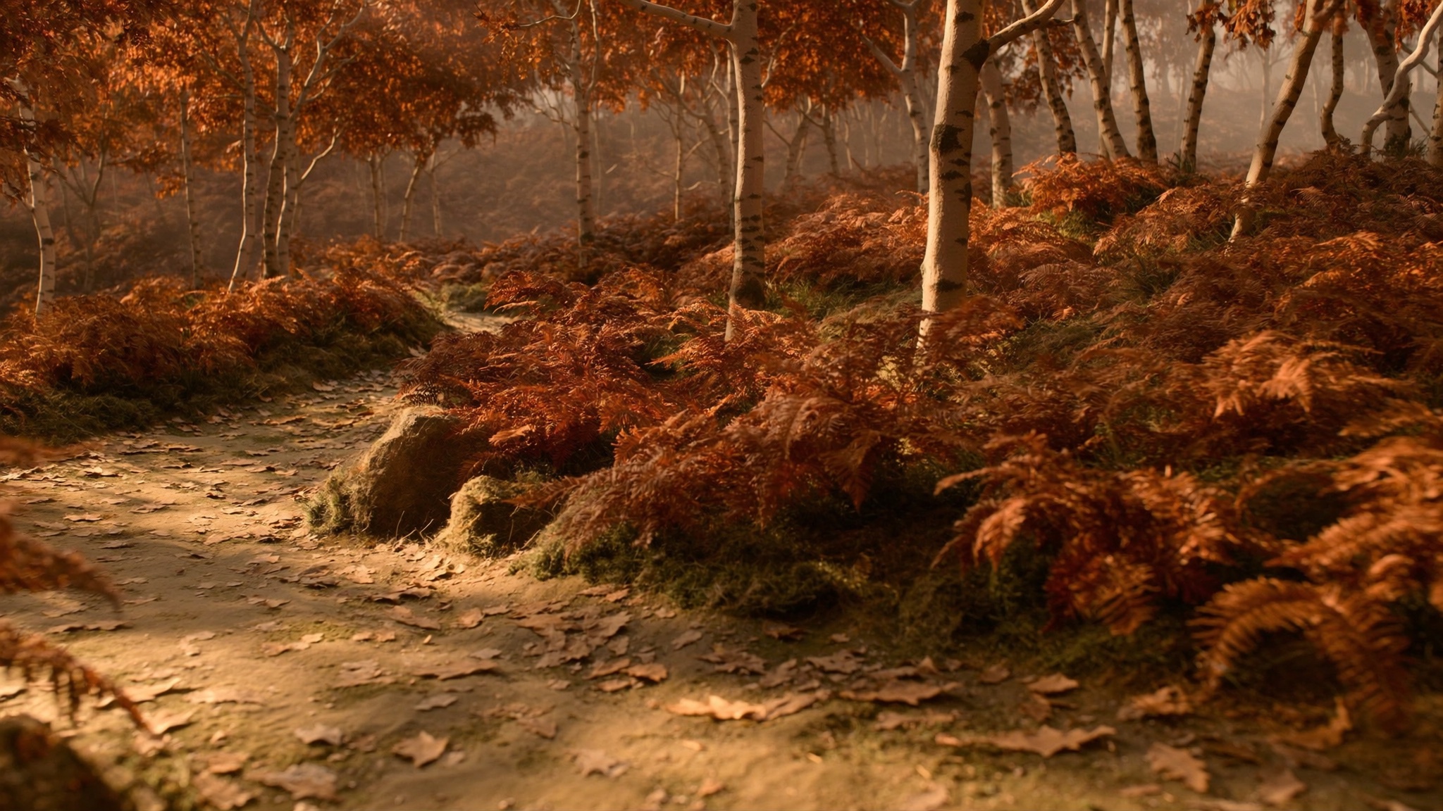 Timeworn Trail