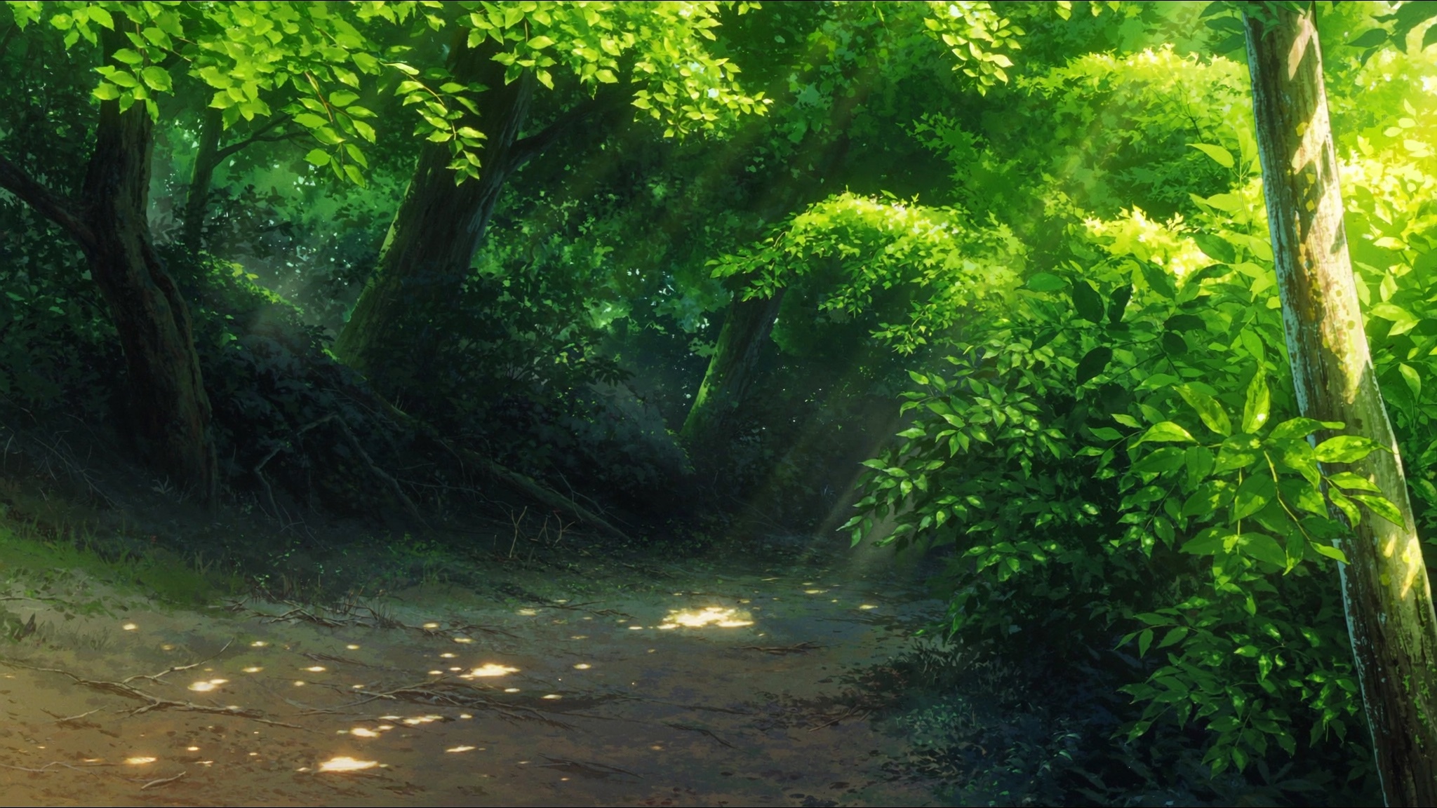 Komorebi Forest Trail
