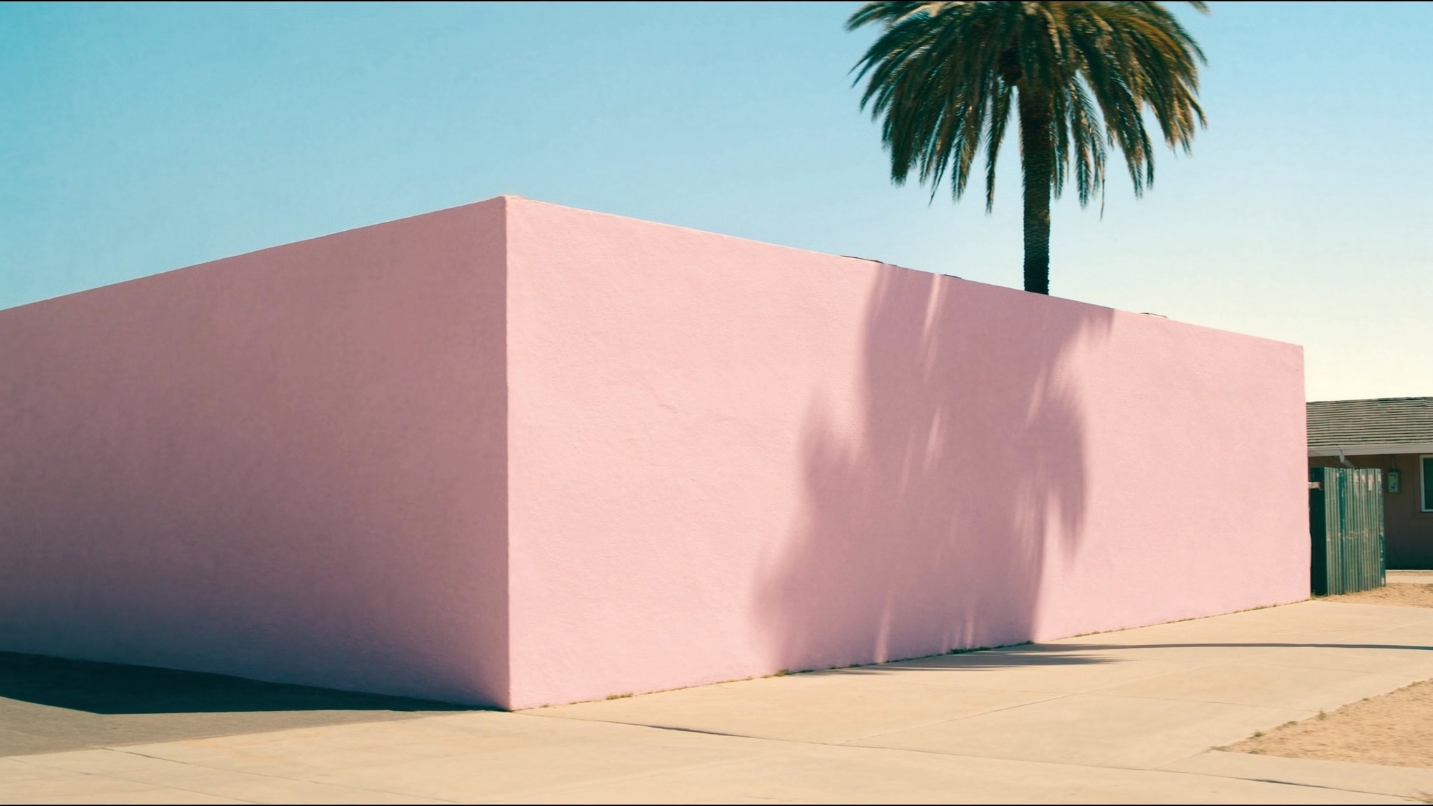 Palm Shadow Wall