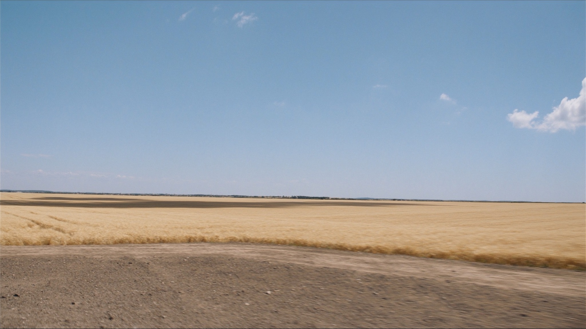 Wheat Field