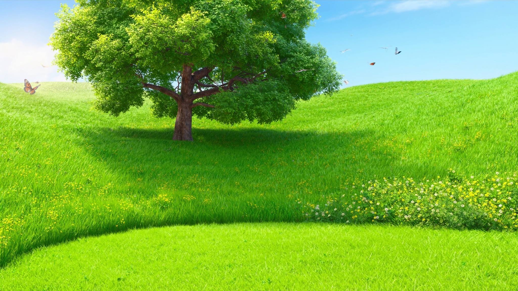 Meadow Romp