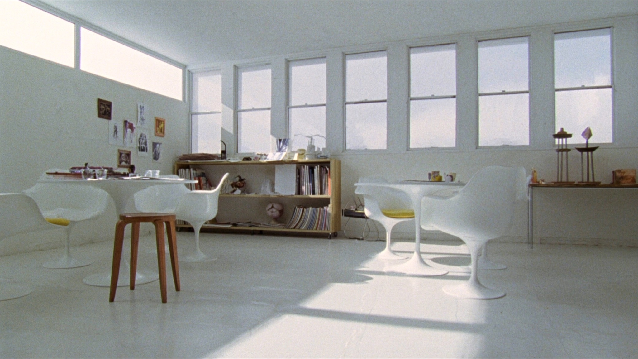 Tulip Studio